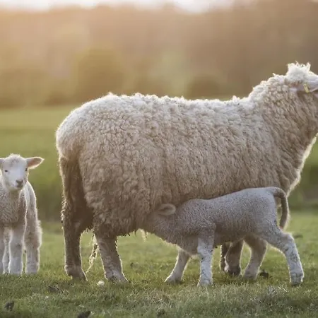 Διαμέρισμα Luxury Farm With Hot Tub